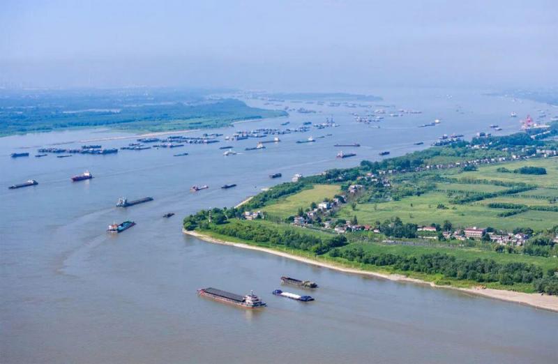 بوابة المصريين