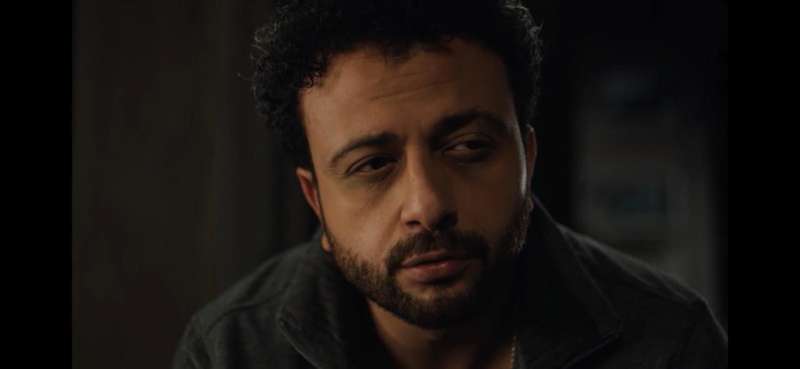 بوابة المصريين