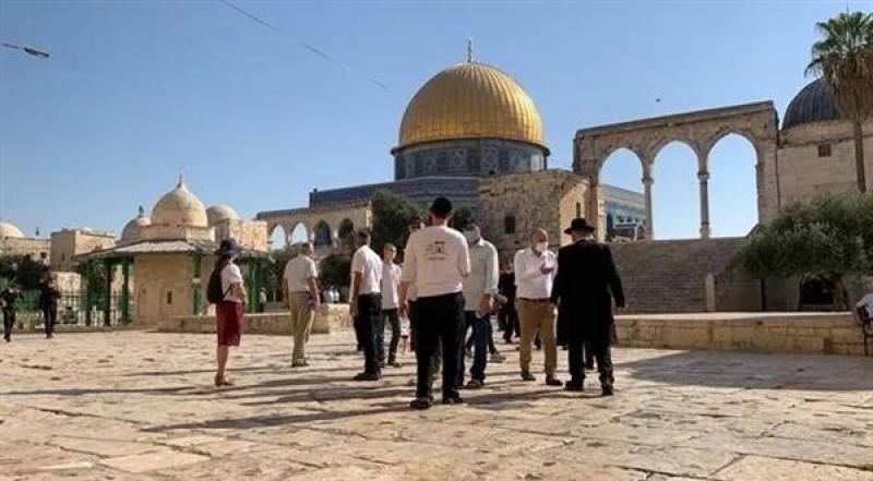 بوابة المصريين