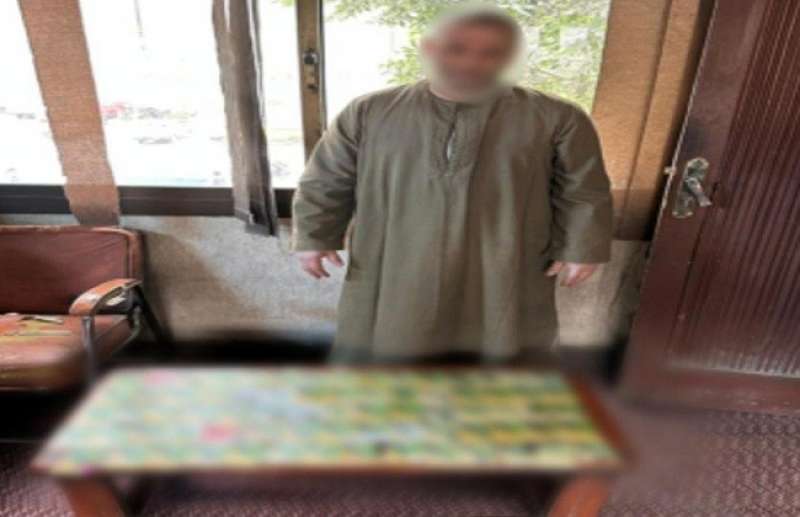 بوابة المصريين