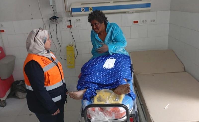 بوابة المصريين