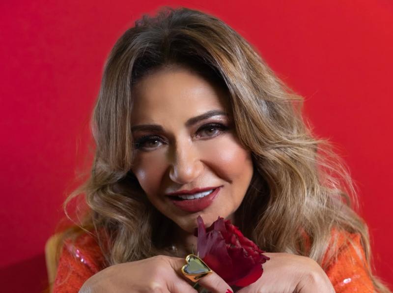 بوابة المصريين