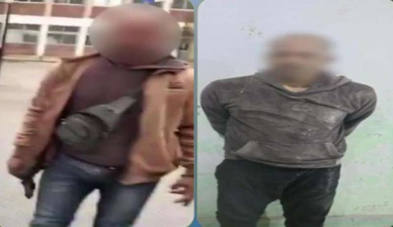 بوابة المصريين