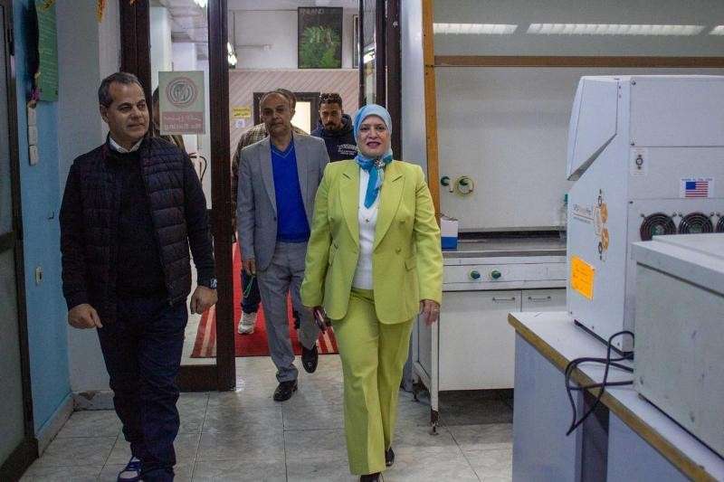 بوابة المصريين