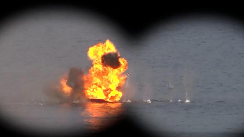 بوابة المصريين