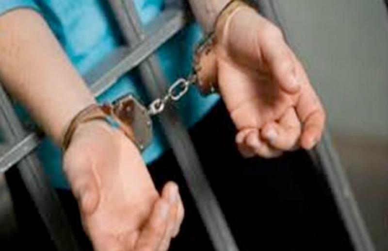 بوابة المصريين