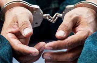 حبس المتهم بترويع وترهيب شاب بكلب في مدينة نصر