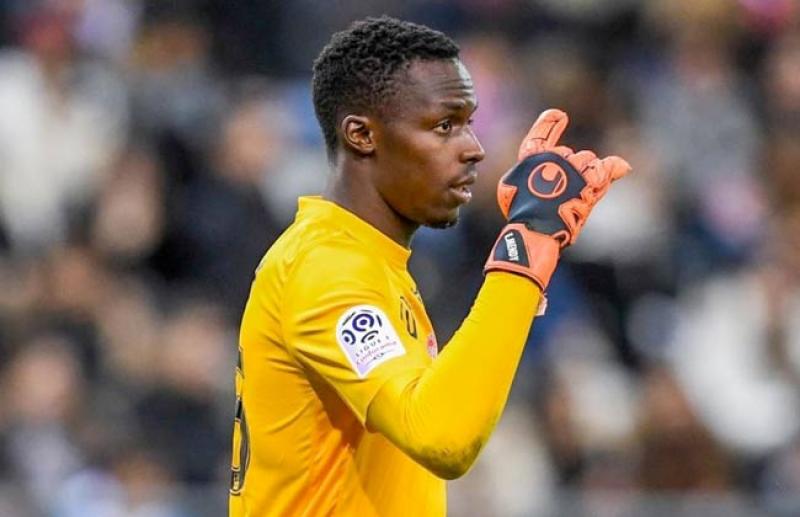 بوابة المصريين