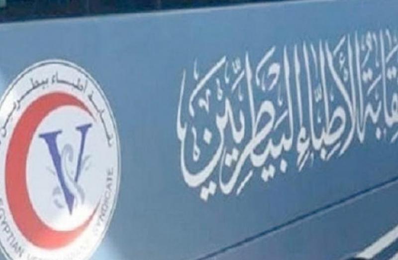 بوابة المصريين