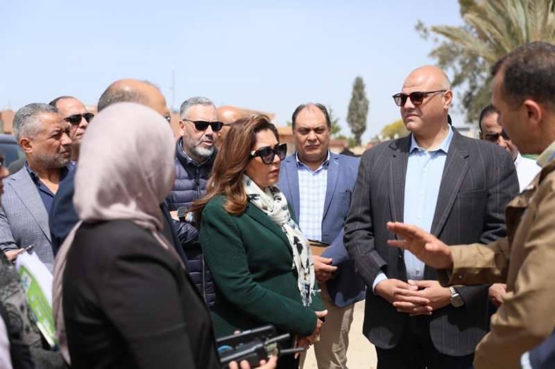 بوابة المصريين