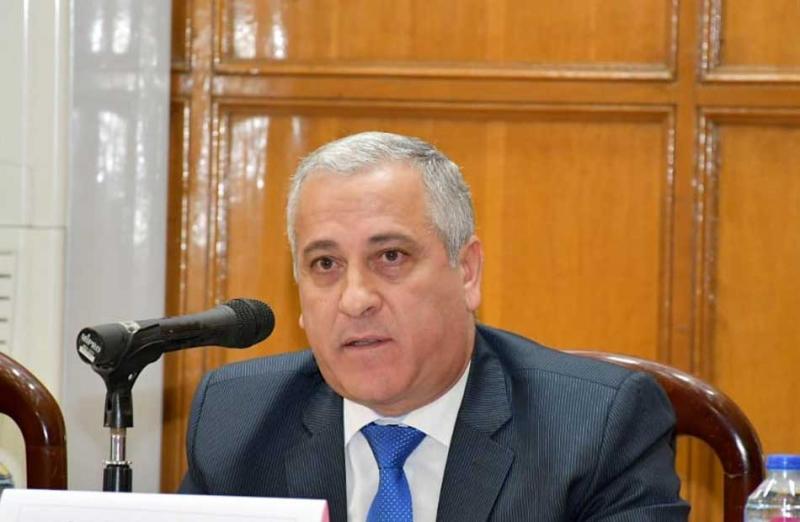 بوابة المصريين