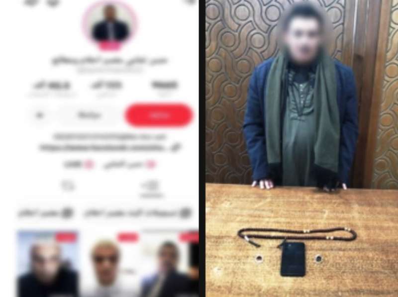 بوابة المصريين