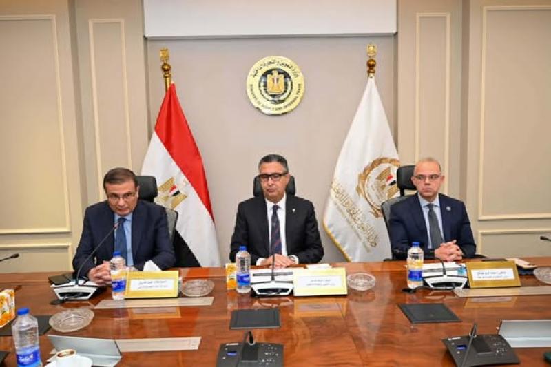 بوابة المصريين