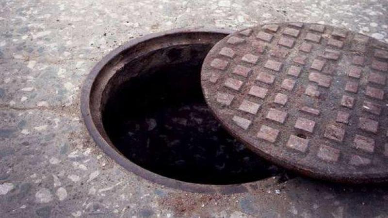 بوابة المصريين