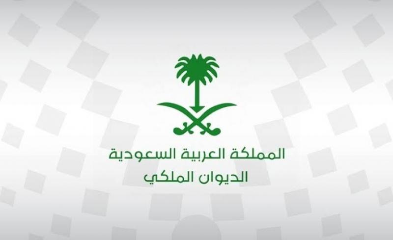 بوابة المصريين