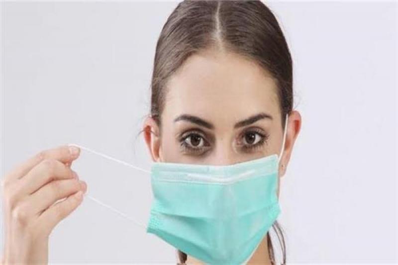 بوابة المصريين