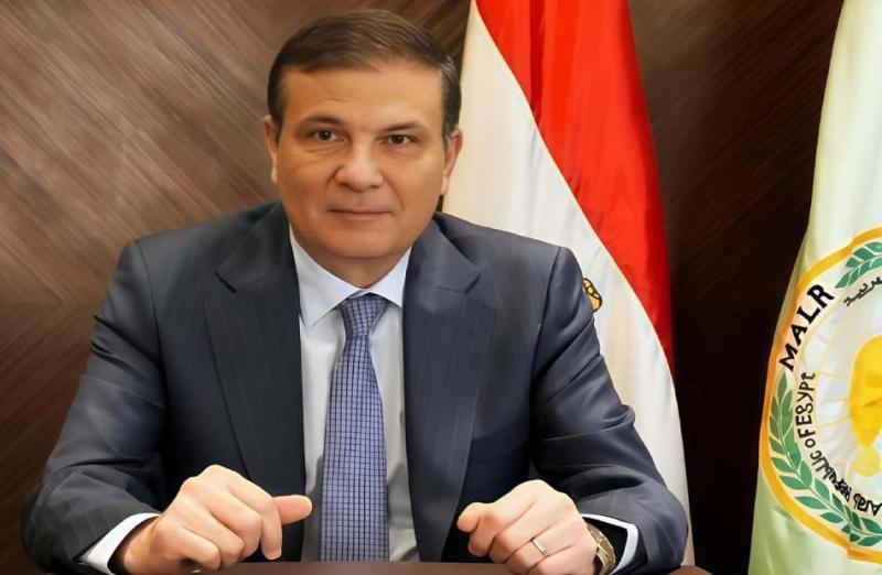 بوابة المصريين