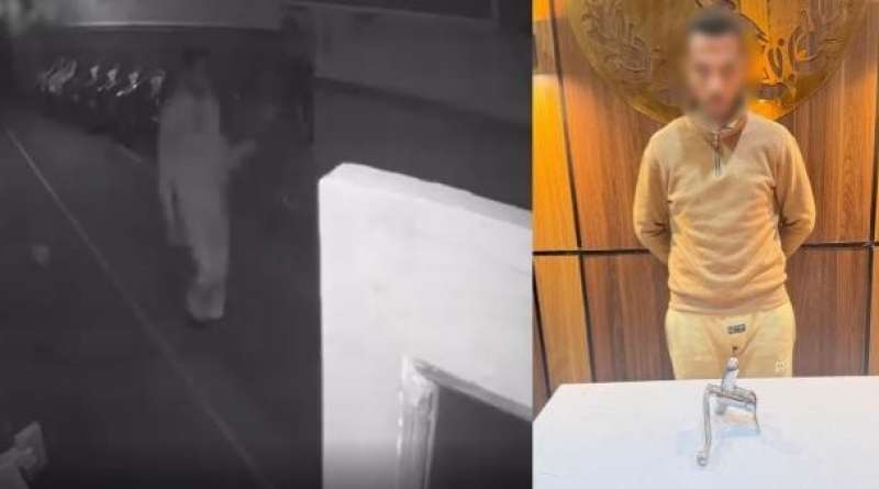 بوابة المصريين