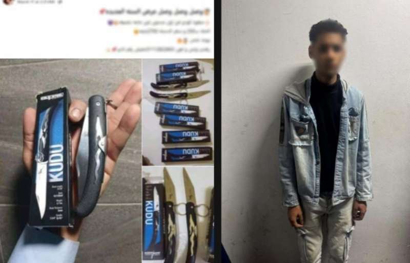 بوابة المصريين