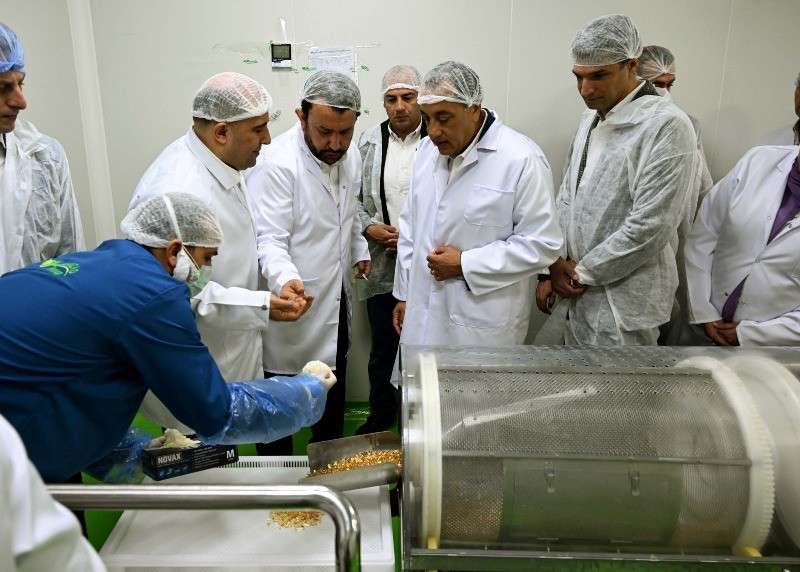 بوابة المصريين