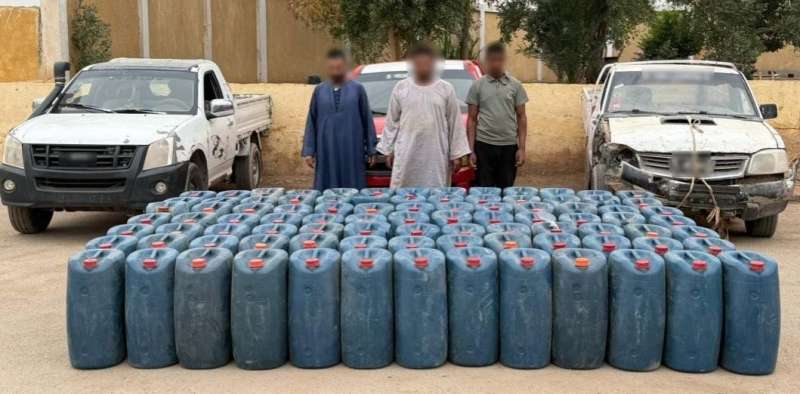 بوابة المصريين