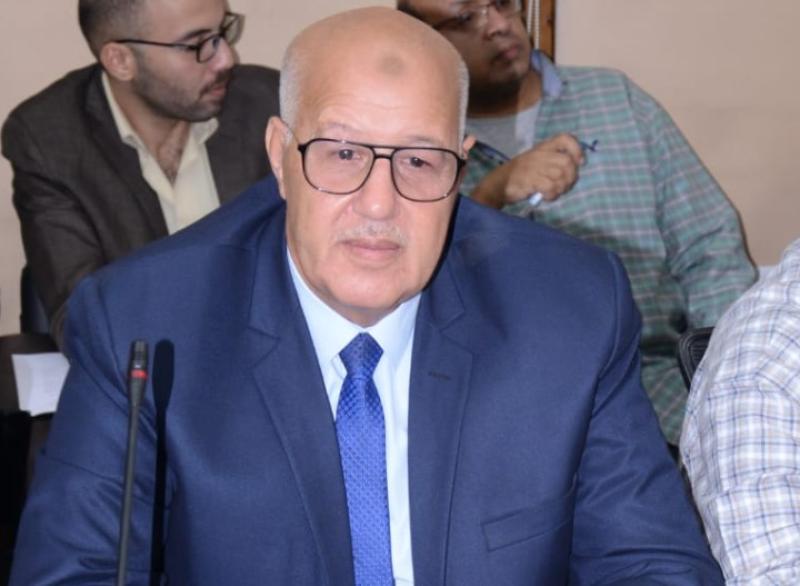 بوابة المصريين