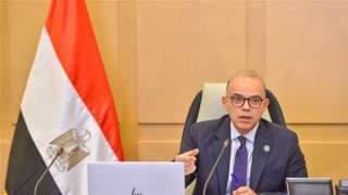 وزير الاستثمار: مقترح بطلب إنشاء مدارس فنية مشتركة لنقل التكنولوجيا الكورية في صناعة السيارات