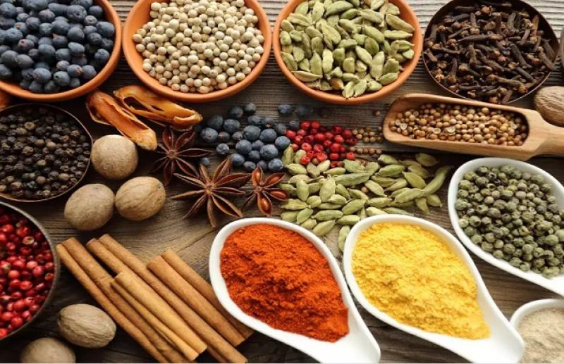 بوابة المصريين