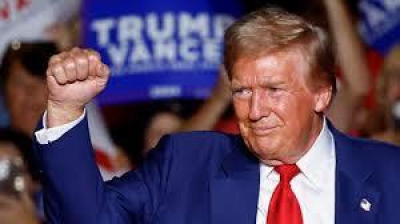 بوابة المصريين