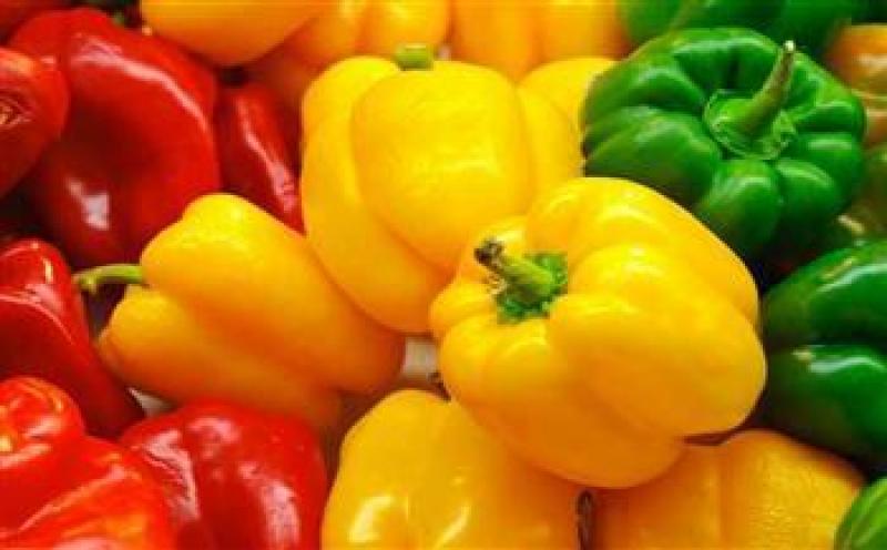 بوابة المصريين