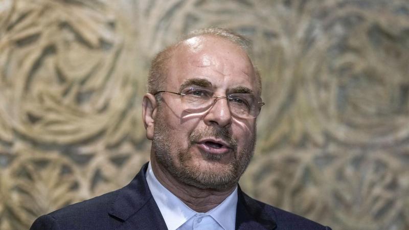 بوابة المصريين