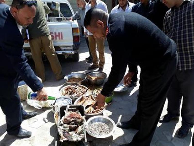 بوابة المصريين