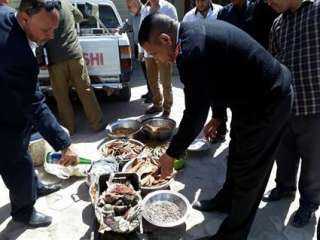 «الزراعة»: ضبط 71 طن من الأسماك المملحة والمدخنة غير الصالحة وتحرر 177 محضرًا في حملات استباقية قبل شم النسيم