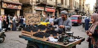 كنز أسود في شوارع القاهرة: كيف يحميك التوت الأسود من السرطان وأمراض القلب؟