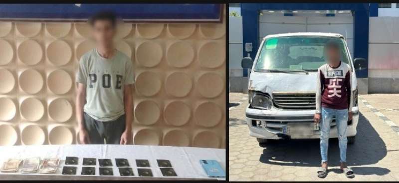 بوابة المصريين