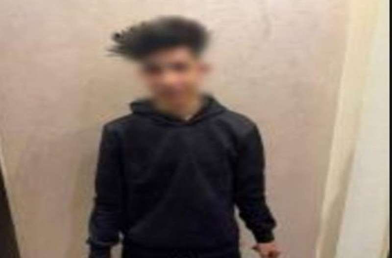 بوابة المصريين