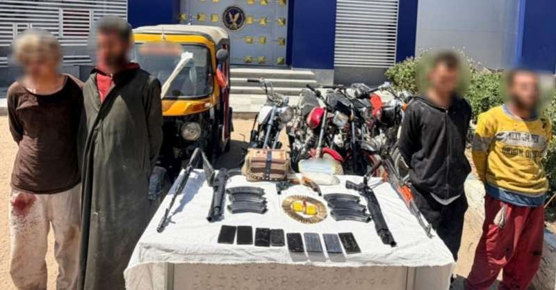 بوابة المصريين