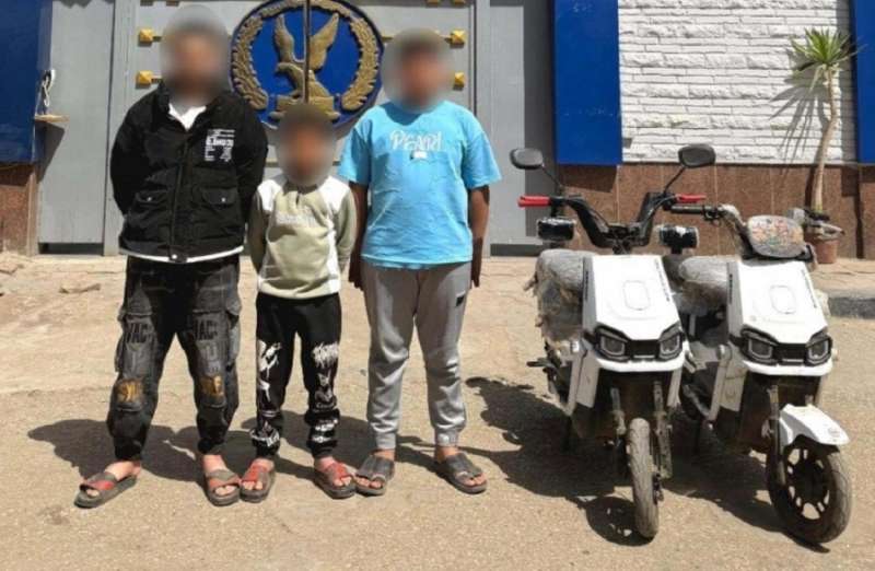 بوابة المصريين