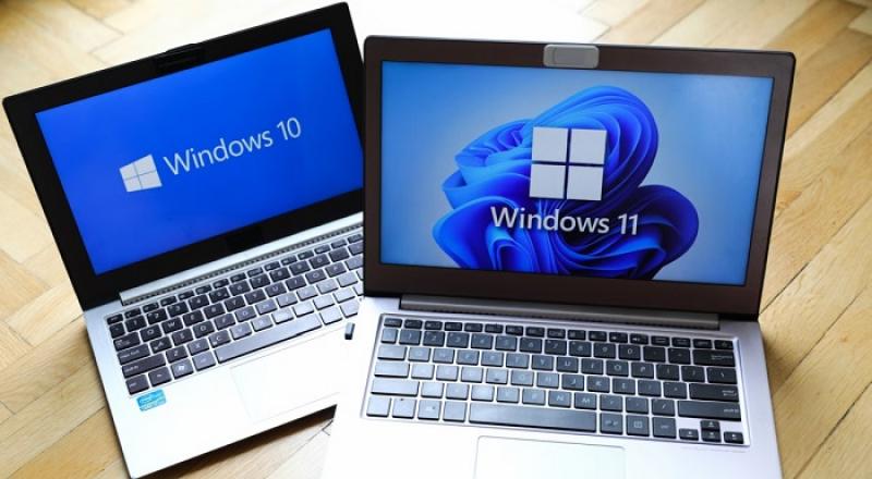 بوابة المصريين