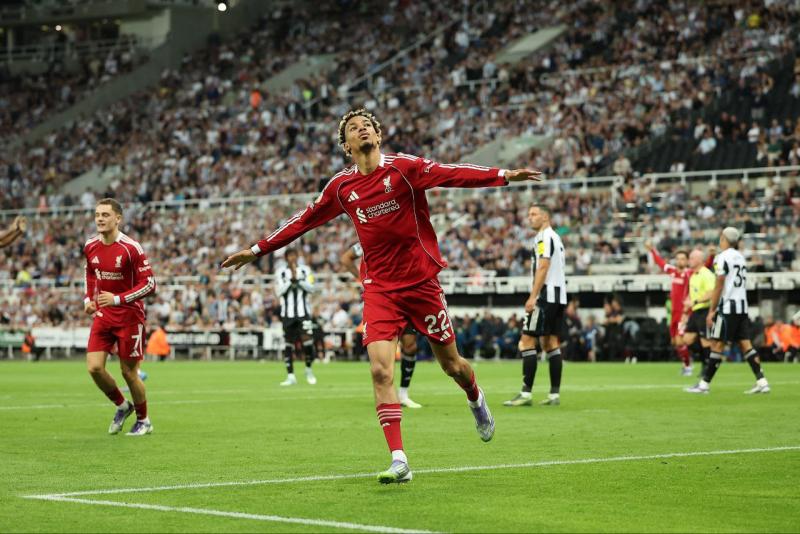 بوابة المصريين