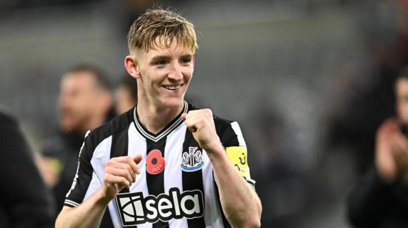 بوابة المصريين