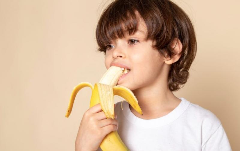 بوابة المصريين