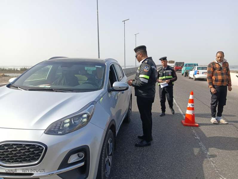 بوابة المصريين