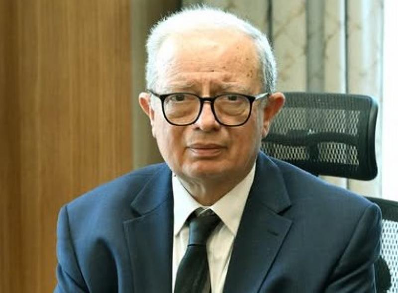 بوابة المصريين