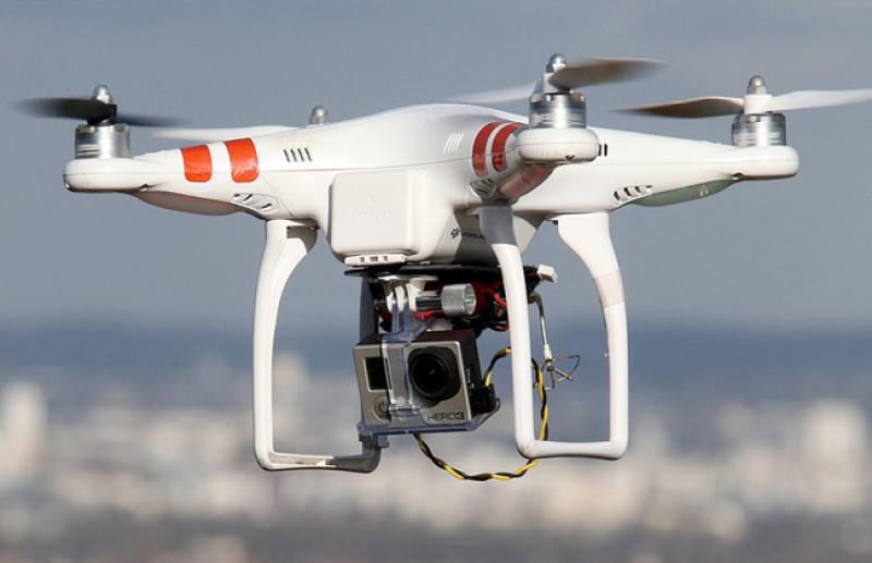 بوابة المصريين