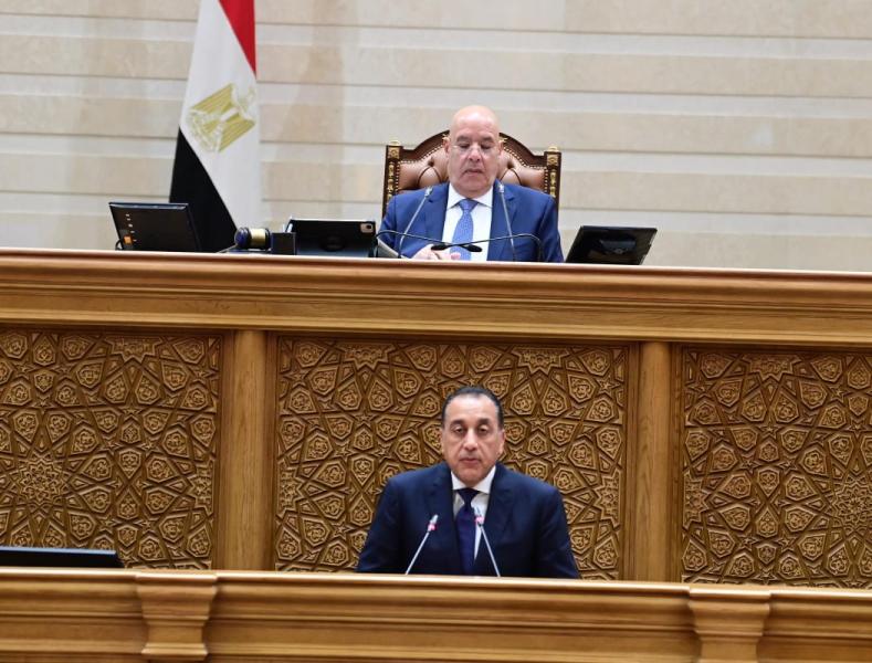 بوابة المصريين