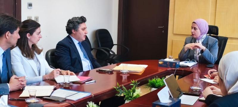 بوابة المصريين