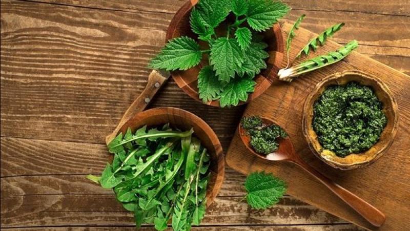 بوابة المصريين