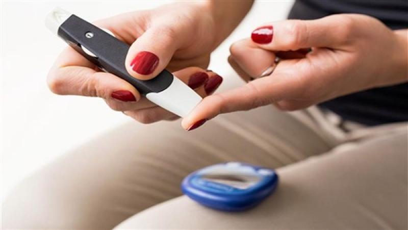 بوابة المصريين