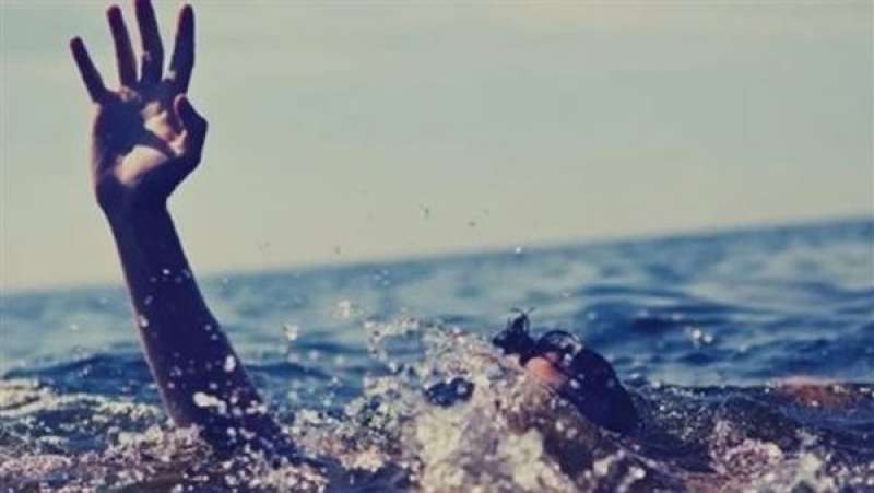 بوابة المصريين